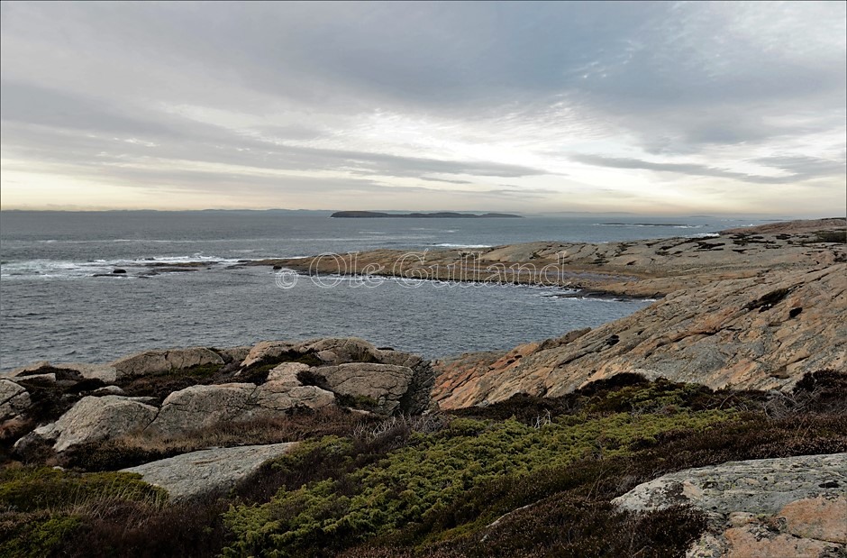 Grøtvika og Mølodden , Vesterøy