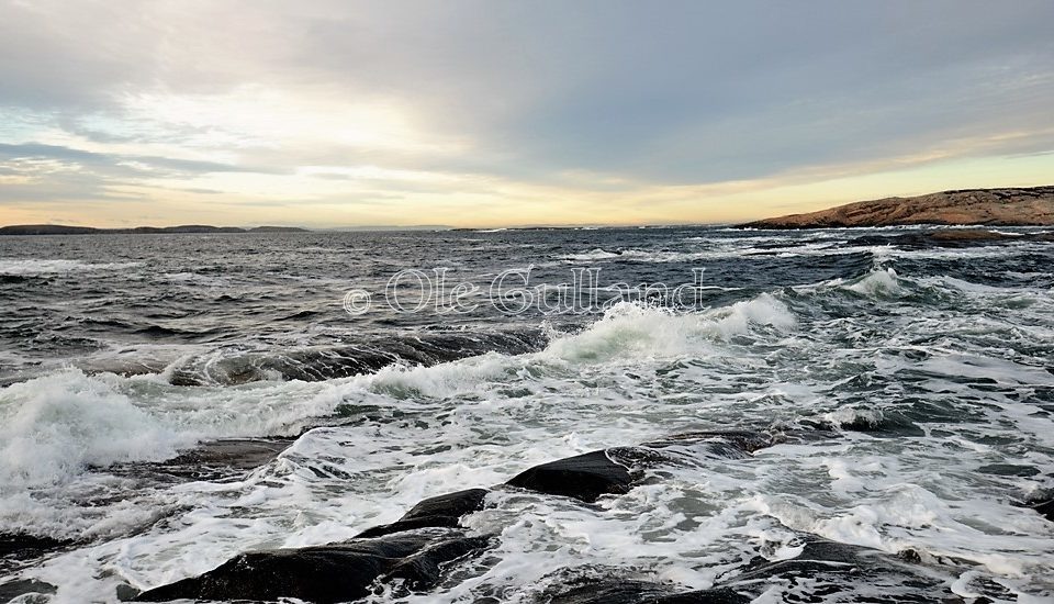 Frisk bris ved Vesterøy