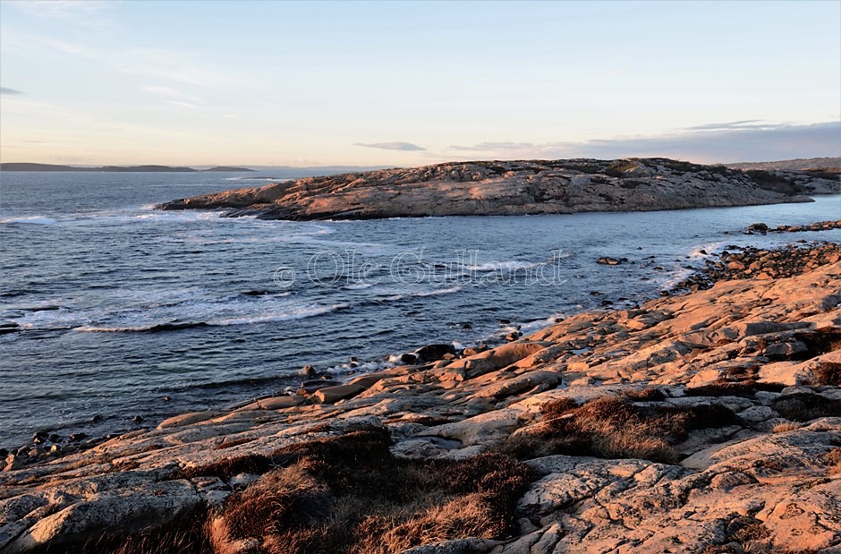 Guttormsvauen , Vesterøy