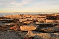 Vesterøy