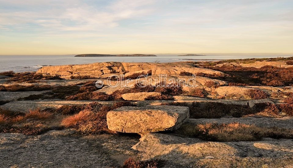 Vesterøy