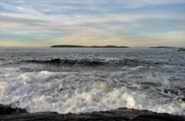 Bølger bryter mot land , Vesterøy
