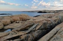 Guttormsvautangen , Vesterøy