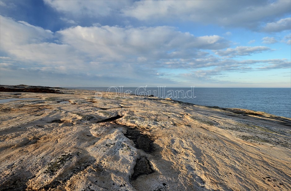 Guttormsvautangen , Vesterøy