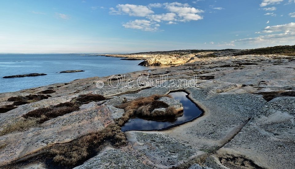 Guttormsvautangen ,Vesterøy