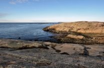 Slettevika , Vesterøy