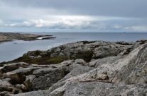 Guttormsvautangen , Vesterøy