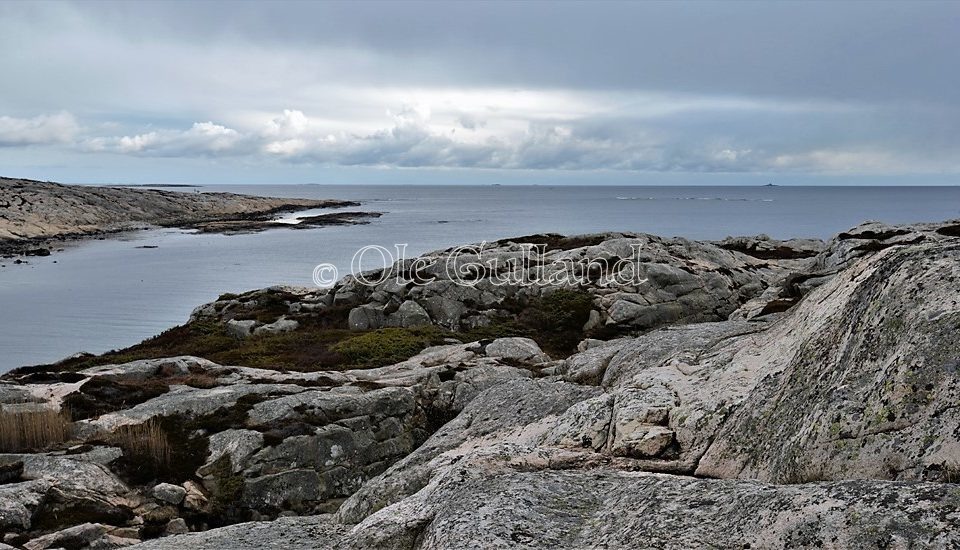 Guttormsvautangen , Vesterøy