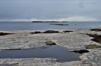 Guttormsvautangen , Vesterøy