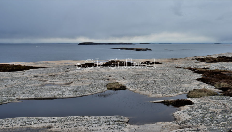 Guttormsvautangen , Vesterøy