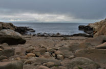 Guttormsvautangen , Vesterøy