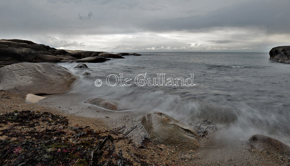 Guttormsvautangen , Vesterøy