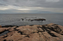 Guttormsvautangen , Vesterøy