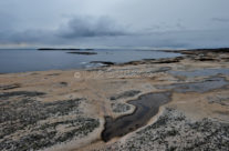 Guttormvautangen , Vesterøy