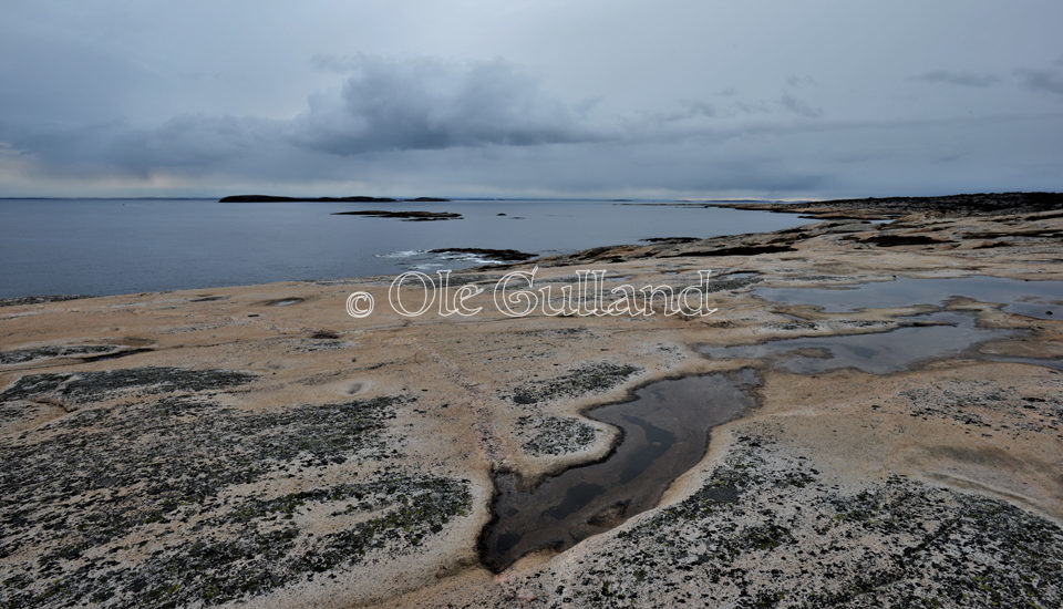 Guttormvautangen , Vesterøy