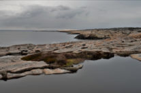 Vesterøy