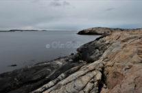 Vesterøy