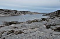 Guttormsvauen , Vesterøy