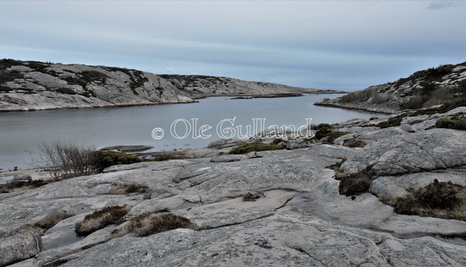 Guttormsvauen , Vesterøy