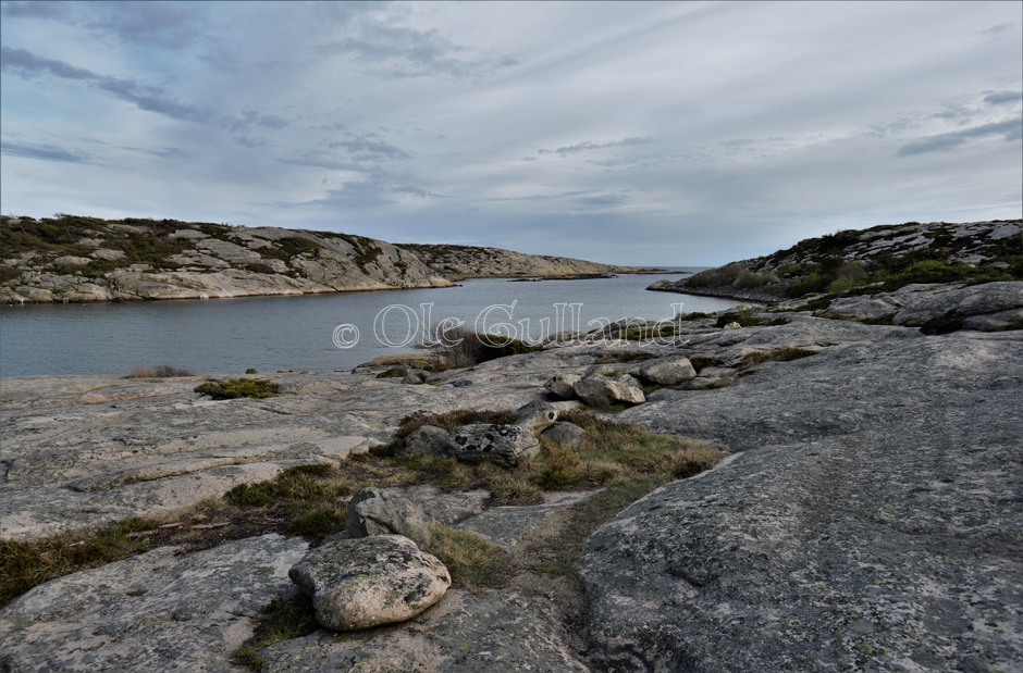 Guttormsvauen , Vesterøy