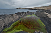 Guttormsvautangen , Vesterøy