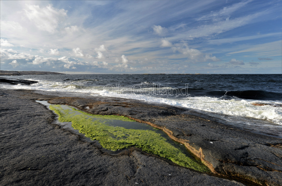 Kuvautangen , Vesterøy