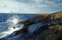 Vesterøy