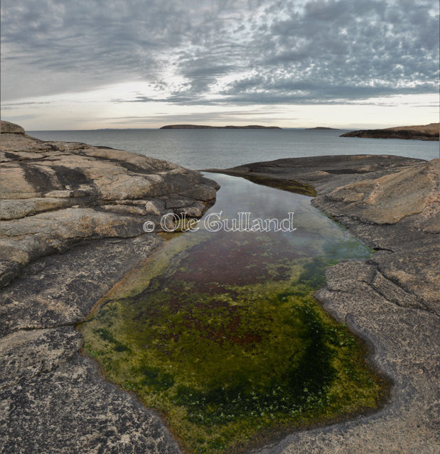 Kuvautangen , Vesterøy