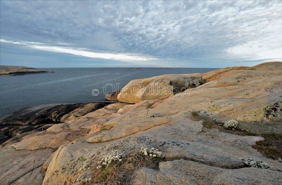 Kuvautangen , Vesterøy