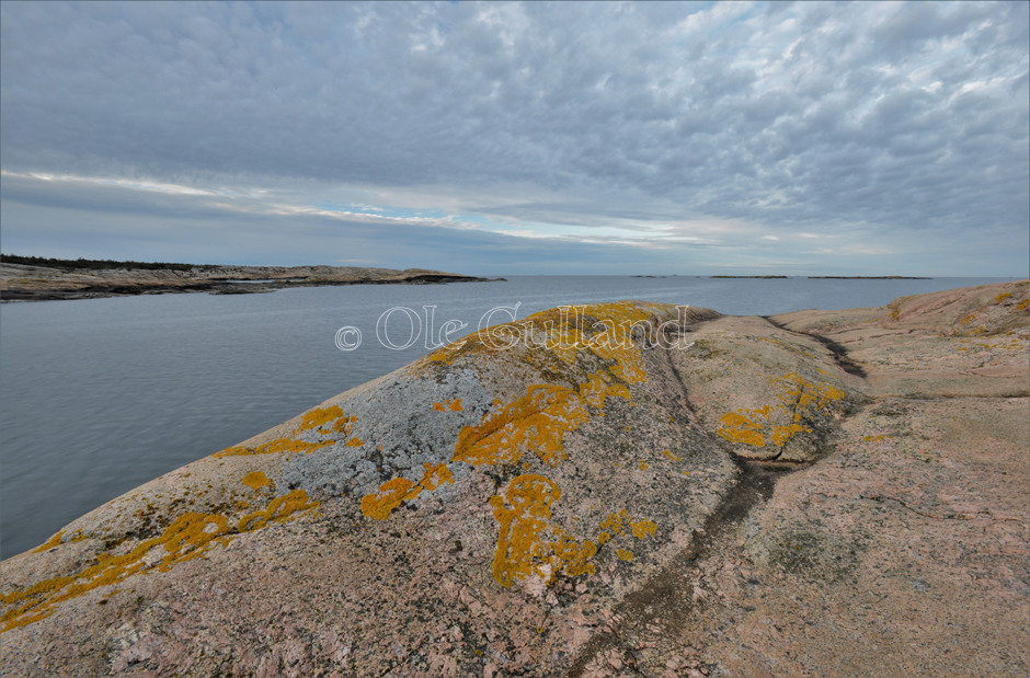 Kuvautangen , Vesterøy