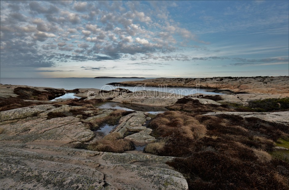 Kuvautangen , Vesterøy