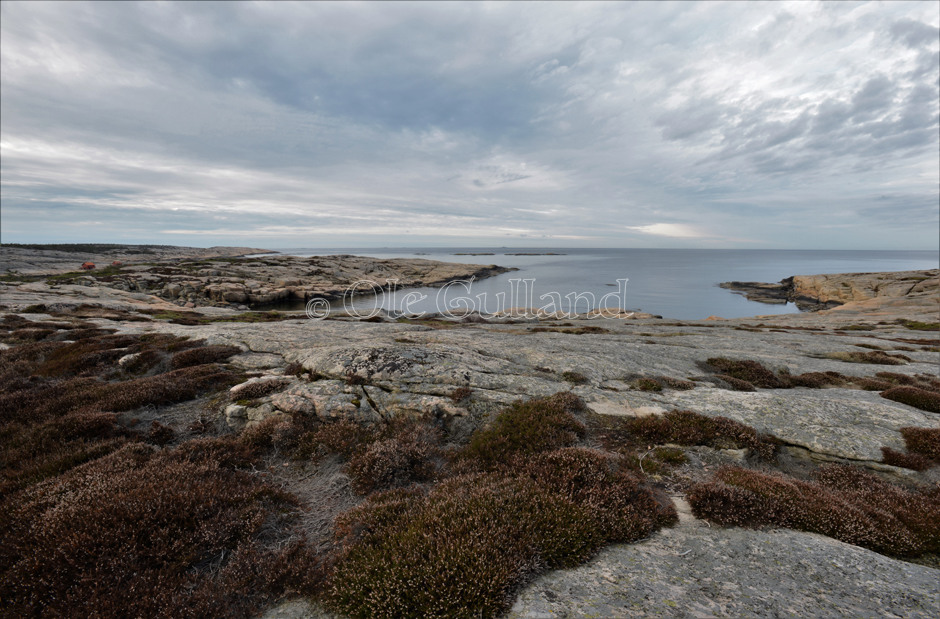 Hverven , Vesterøy