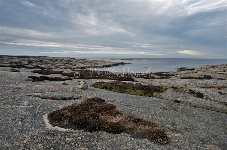 Hverven , Vesterøy