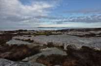 Vesterøy