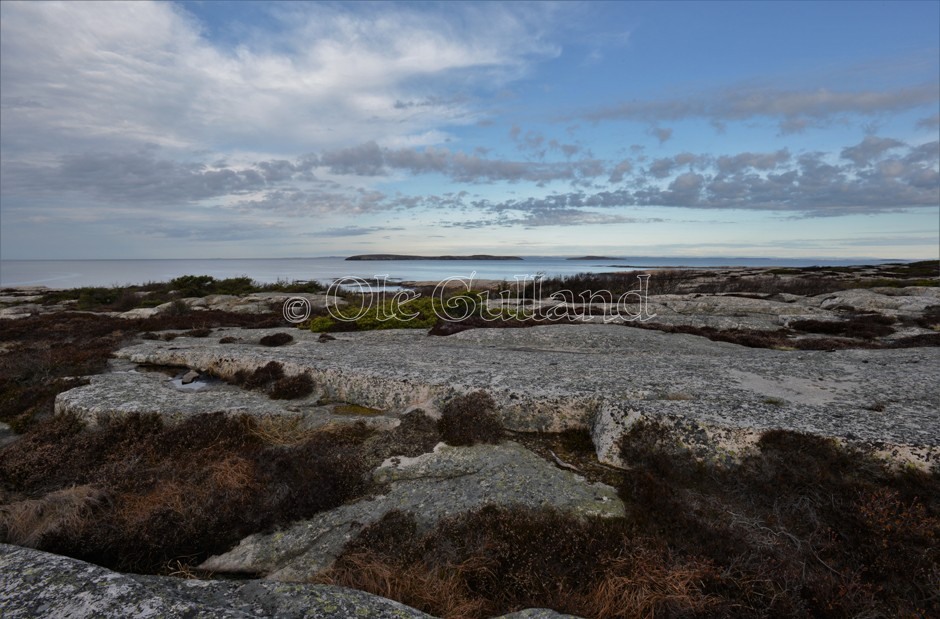 Vesterøy