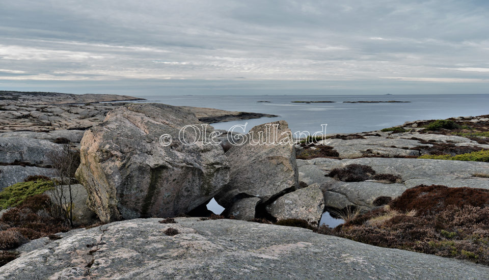 Hverven , Vesterøy