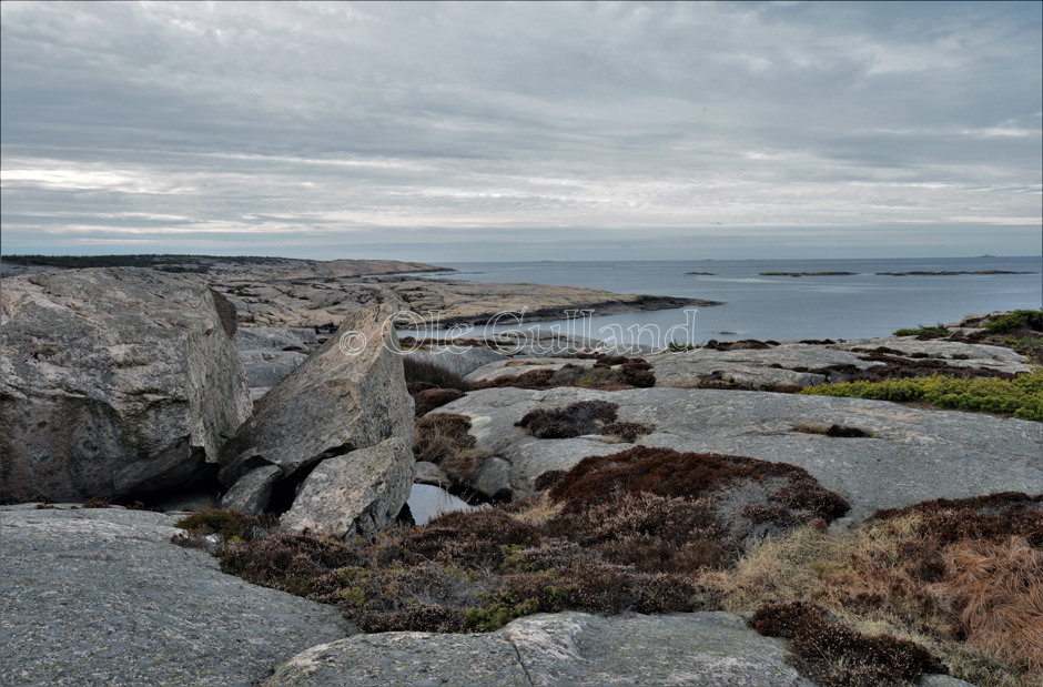 Hverven , Vesterøy