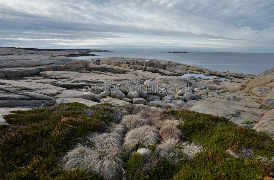 Svaberg vest for Hverven , Vesterøy