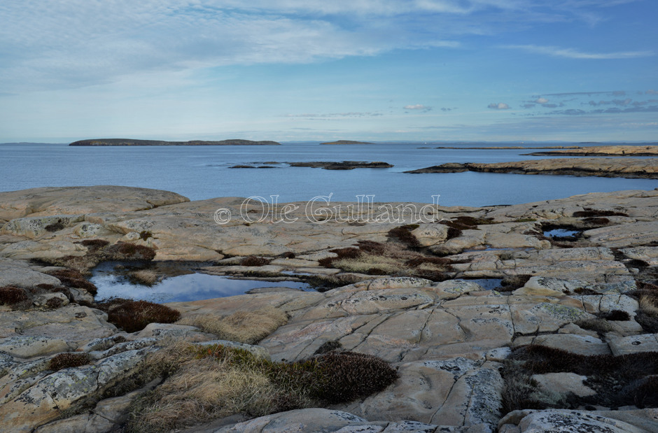 Vesterøy