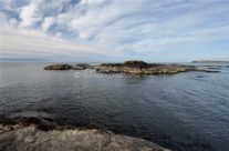 Svana , Vesterøy