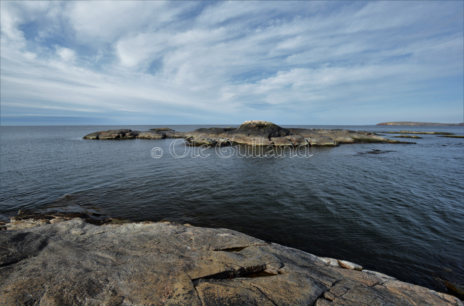 Svana , Vesterøy