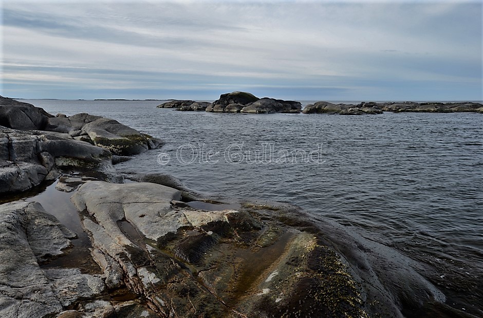 Svana , Vesterøy