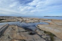 Svaberg vest på Vesterøy