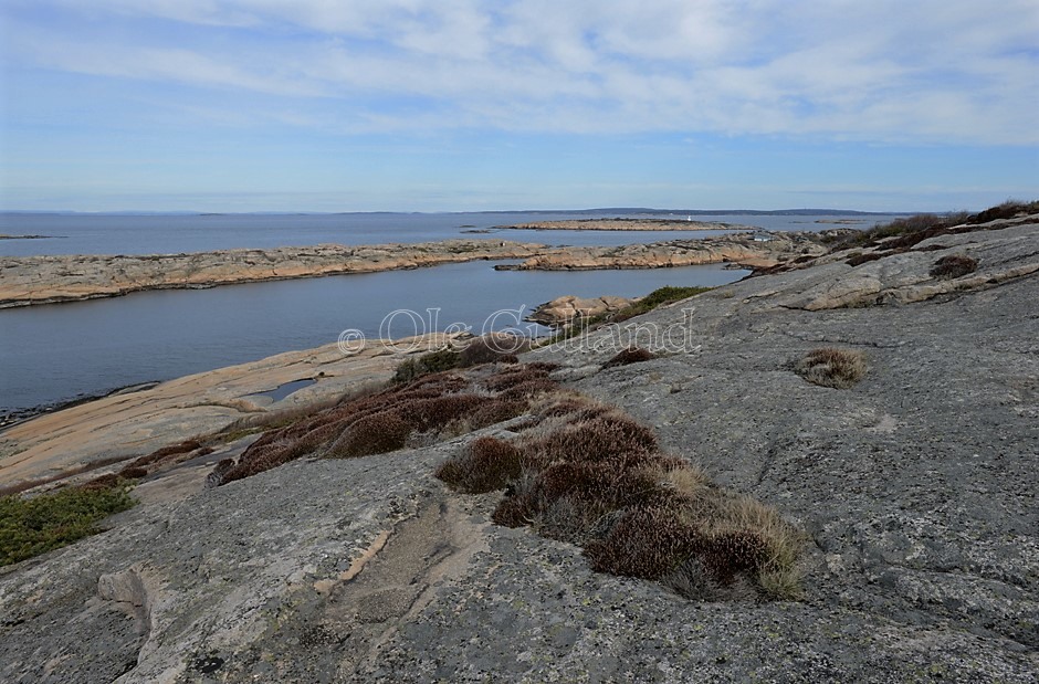 Langholmen , Høyholmen og Lyngholmen sett fra Stolsberget