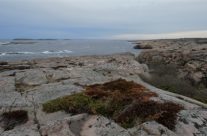 Slettevikskjæra og Svartebåene Vesterøy