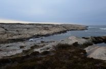 Slettevika Vesterøy