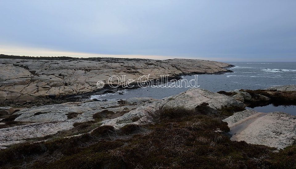 Slettevika Vesterøy