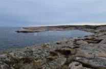 Kråkvika Vesterøy