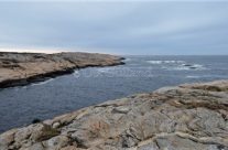 Slettevika og Slettevikskjæra , Vesterøy