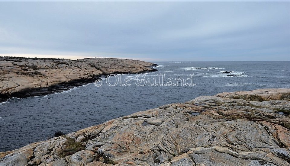 Slettevika og Slettevikskjæra , Vesterøy